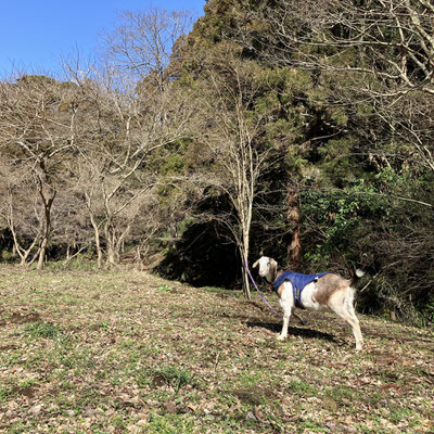 ０２月２４日　大沢谷広場プロジェクト