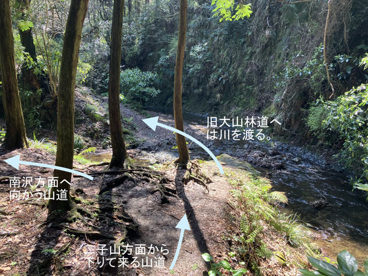 二子山方面から下って来て、旧大山林道終点方面を見た景色。（２５年４月４日撮影）