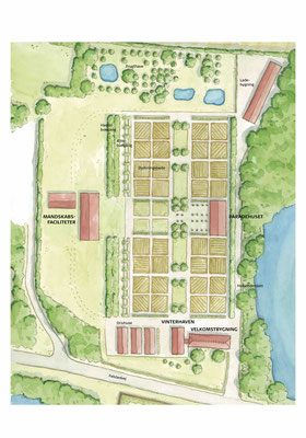 Überblick über den neuen "Königlichen Küchengarten" von Schloss Gråsten. Foto: Sønderborg Kommune