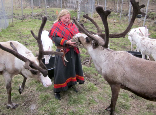 Auch auf den Lofoten leben Sami, die nordischen Ureinwohner