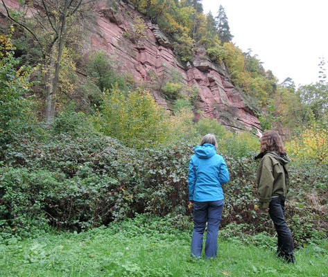 Am alten Steinbruch Reistenhausen bei Collenberg. Foto: Christoph Schumann, 2025