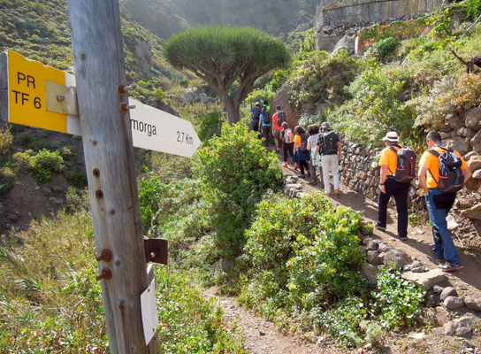 Alle Wanderwege auf Teneriffa sind perfekt beschildert - ideal für individuelle Wanderungen