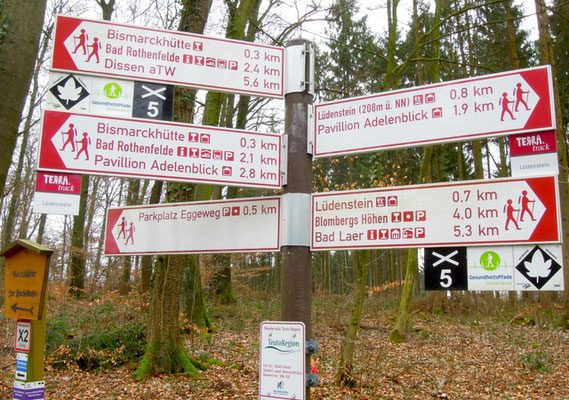 Wanderwege führen rund um Bad Rothenfelde. Foto: Christoph Schumann, 2020