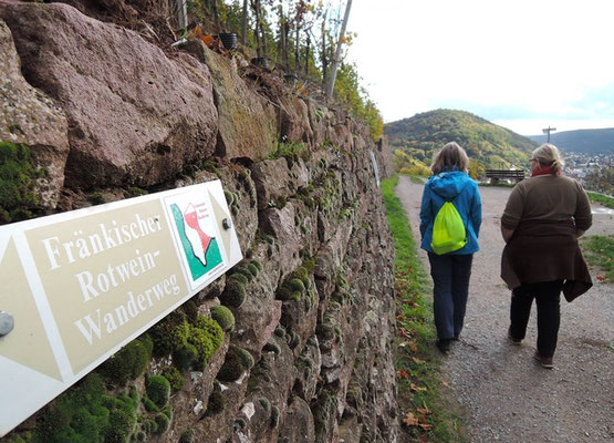 Wanderer auf dem Fränkischen Rotwein Wanderweg über Klingenberg. Foto: Christoph Schumann, 2025