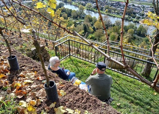 Herbstliche Genusspause im Weinberg mit Blick auf Klingenberg und den Main. Foto: Christoph Schumann, 2025