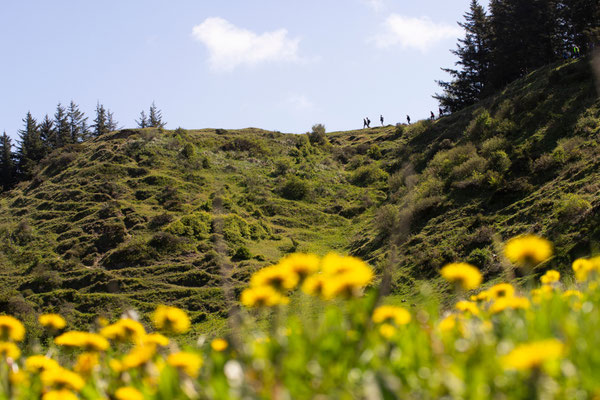 Auf dem Wanderweg Tranum-Fosdal geht es aktiv auf und ab. Foto: VisitJammerbugten