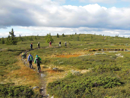 Wanderung auf dem Golsfjellet