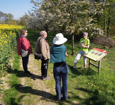 Besuchergruppe auf dem Kirschlehrpfad. Foto: C. Schumann, 2019