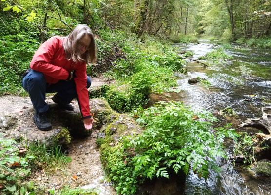 Unterwegs an der Püttlach: Am Veilchenbrunnen, einer alten Quelle, lohnt eine Pause. Foto: Christoph Schumann, 2021