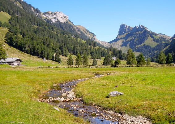Weite Schönheit: Blick ins Justistal bei Sigriswill im Berner Oberland. Foto: Christoph Schumann, 2019/20