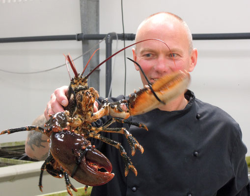 Einer der bekannten Muschel- und Hummerexporteur am Limfjord ist Glyngöre Shellfish