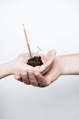 Der Stift Sprout Pencil wird nach seinem Einsatz zu blühenden Pflanzen. Foto: PR