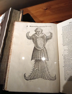 Mehrjungfrau in frühem Buchdruck – zu sehen in der Ausstellung „Zwischen Himmel und Erde“ in der Königlichen Bibliothek. Foto: Christoph Schumann, 2025