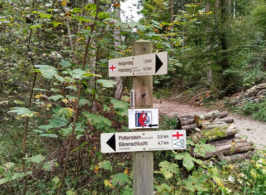 Die Wanderwege rund um Pottenstein sind perfekt markiert. Foto: Christoph Schumann, 2021