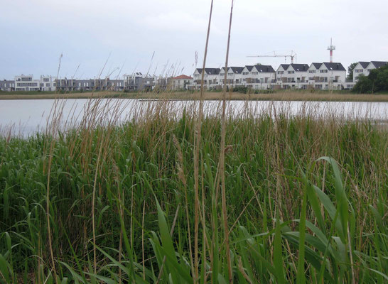 Das Ferienresort Olpenitz ist eines der größten Urlaubsprojekte Europas. Foto: C. Schumann