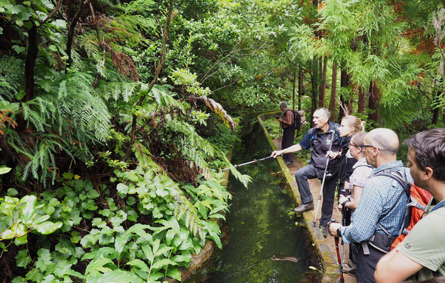Historische Bewässerung, Levada, am Wanderweg zum Kratersee Lagoa do Fogo. Foto: C. Schumann