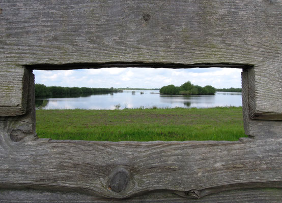 Im Moor Bargerveen – Blick aufs Amsterdamsche Veeld. Foto: C. Schumann