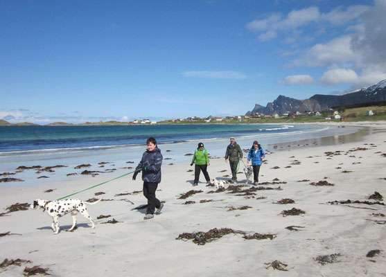 Nordnorwegen: Strände sind typisch für die Lofoten