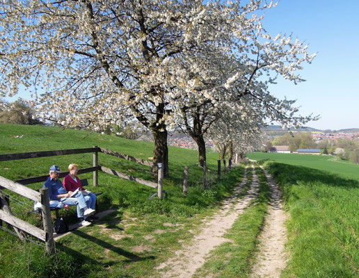 Wandern auf einem TERRA.track rund um Hagen am Teutoburger Wald. Foto: C. Schumann, 2019