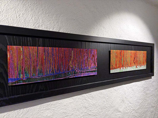 Drucke auf Acrylglas, 60x20cm, Preis* €600,-