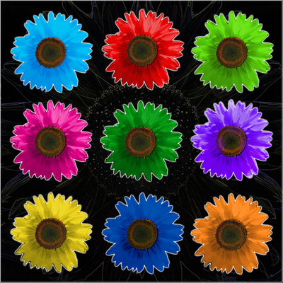 Sonnenblumen 40 x 40 cm