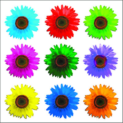 Sonnenblumen 40 x 40 cm
