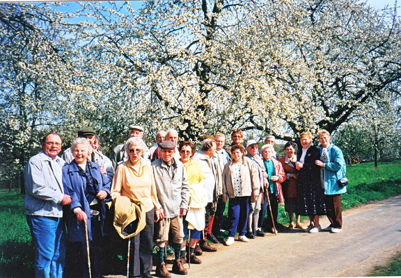 1989  In Frauenstein zur Kirschblüte