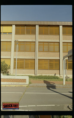 Silbersalz35 / 50D