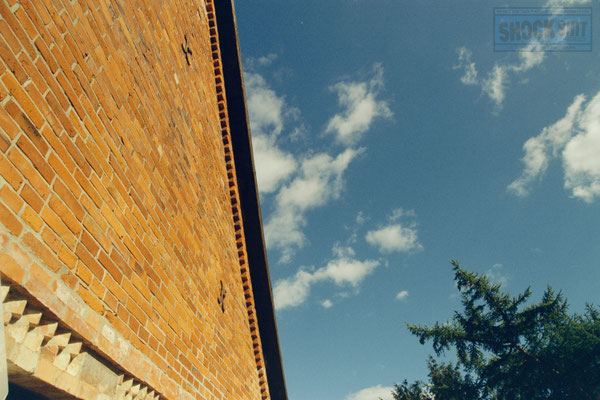Silbersalz35 True Cinefilm 200T + 85b Filter, Location: Böckelse, Germany, Bauernhofcafé Buchholz
