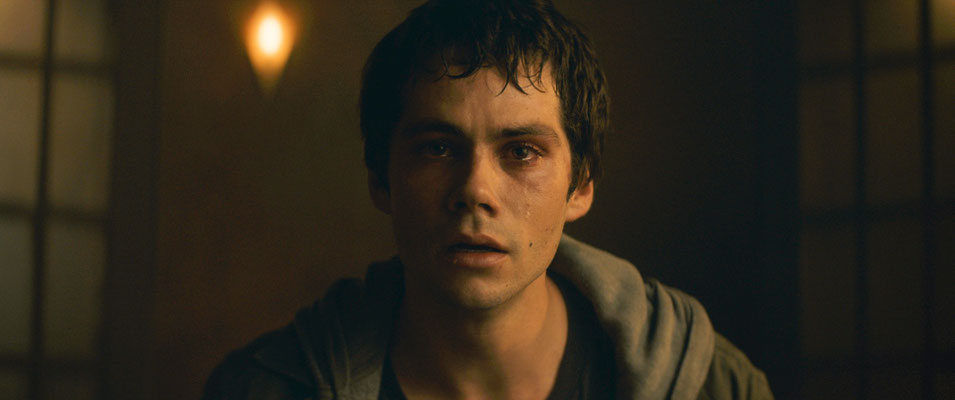 Dylan O'Brien in FLASHBACK