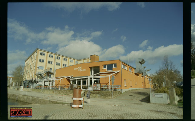 Silbersalzfilm 50D