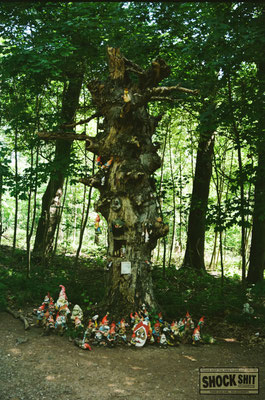 Kodak Kodacolor 100, Test, Testfotos, Review, Thomas Mildner-Rotermund