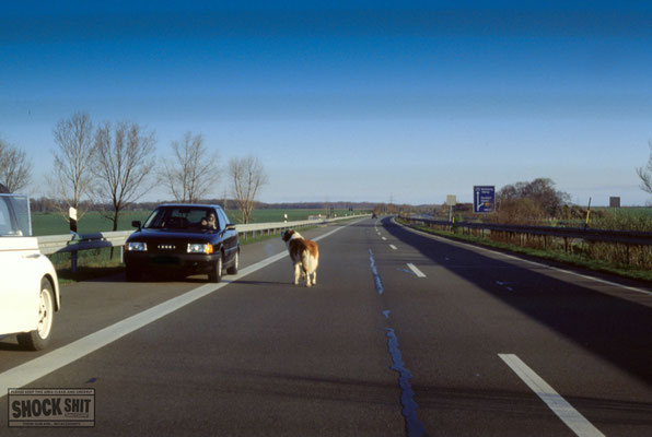 Kodak Ektachrome 100 (1988) von Thomas Mildner-Rotermund