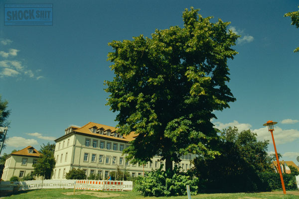 Silbersalz35 True Cinefilm 200T + 85b Filter, Location: Hameln, Germany