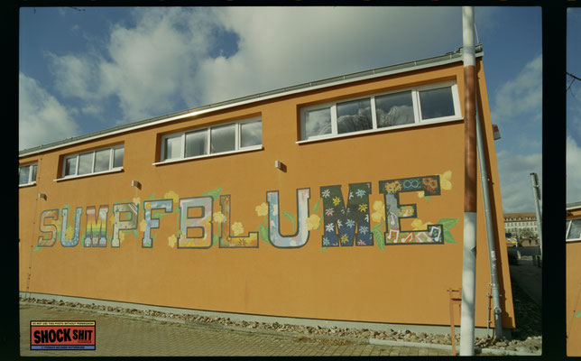 Silbersalzfilm 50D / Sumpfblume in Hameln
