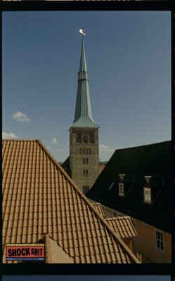 Silbersalz35 / 50D