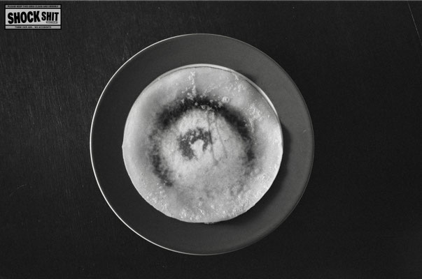 FOMA Fomapan 200 © Thomas Mildner-Rotermund, shockshit.de / analoge Fotografie sw