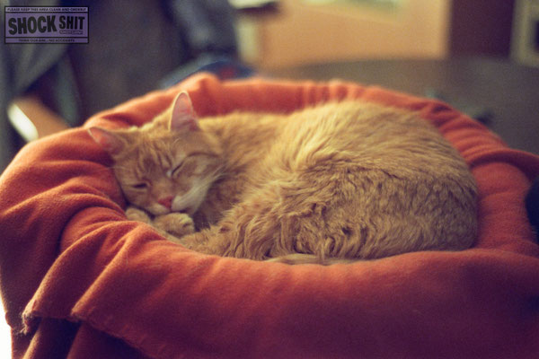 CineStill Film 800T, Test, Testfotos, Review, Thomas Mildner-Rotermund