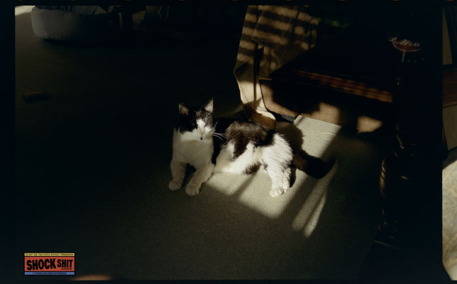 Silbersalzfilm 50D