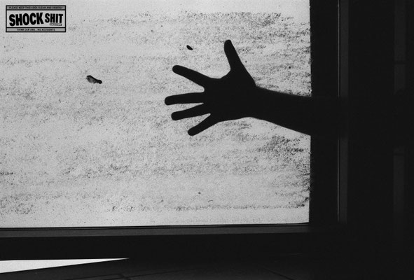 FOMA Fomapan 200 © Thomas Mildner-Rotermund, shockshit.de / analoge Fotografie sw