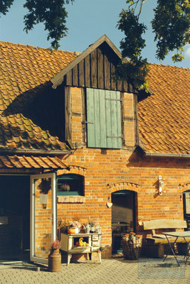 Silbersalz35 True Cinefilm 200T + 85b Filter, Location: Böckelse, Germany, Bauernhofcafé Buchholz