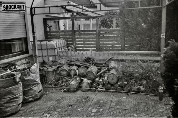FOMA Fomapan 200 © Thomas Mildner-Rotermund, shockshit.de / analoge Fotografie sw