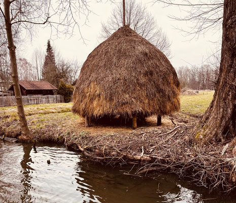 Lehde im Spreewald - vom Kahn aus betrachtet