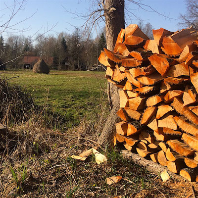 Streusiedlung Spreewald Kahnfahrt Burg