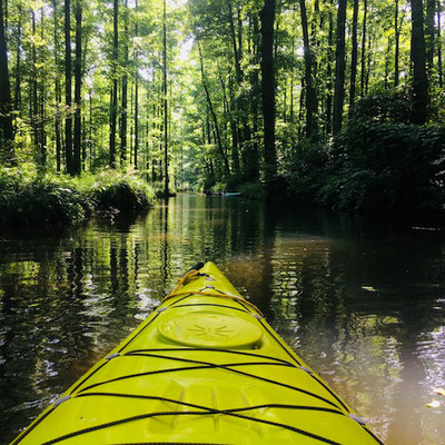 Paddelbootverleih im Spreewald