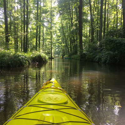 Kajakverleih-Spreewald-Geführte -Paddeltouren