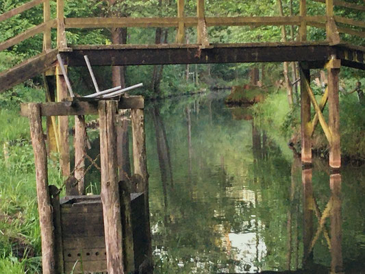 Kahnfahrt Burg - Fischkasten im Spreewald 