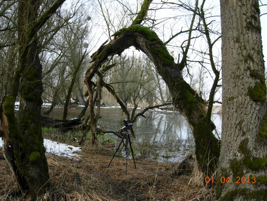 Foto Gerald Puchberger