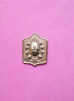 Placa de solapa