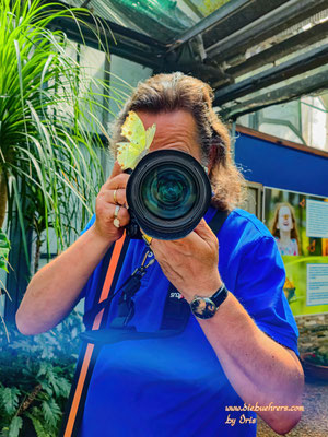Wenn das Motiv sich weigert fotografiert zu werden ;-)